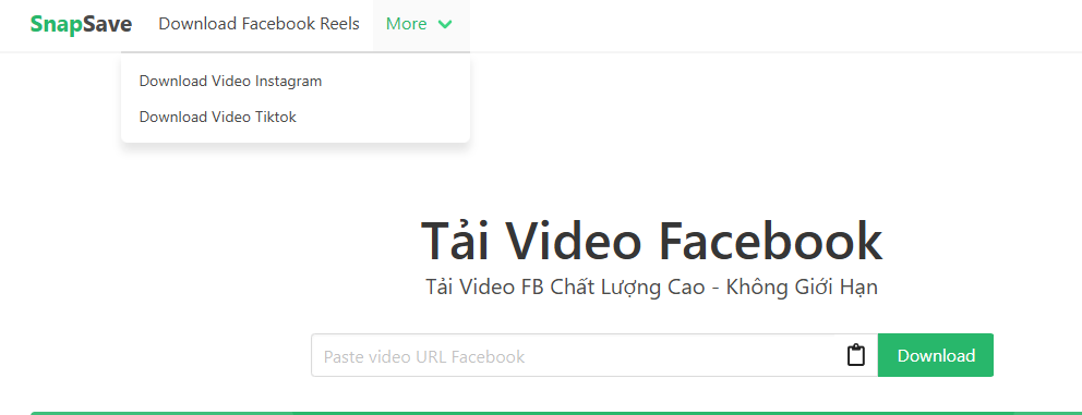 Tải video trên mạng xã hội với snapsave.gg