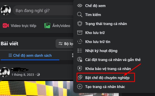 Bật tùy chọn chế độ chuyên nghiệp
