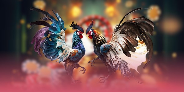 ga888-tai-sao-can-duy-tri-trach-nhiem
