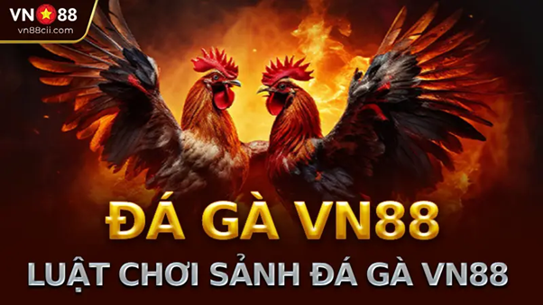 vn88-sanh-da-ga